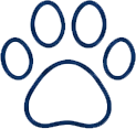 Pet Friendly Accommodation in Pembrokeshire
